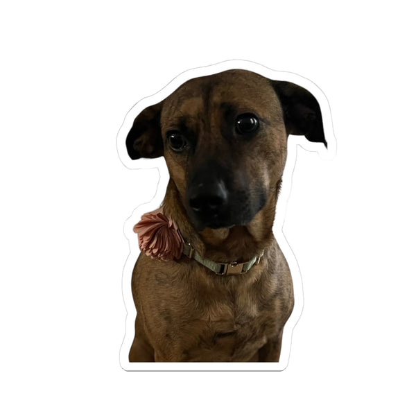 Maple Sticker — The Cute Brown Dog Kiss-Cut Decal for Laptops & Water Bottles