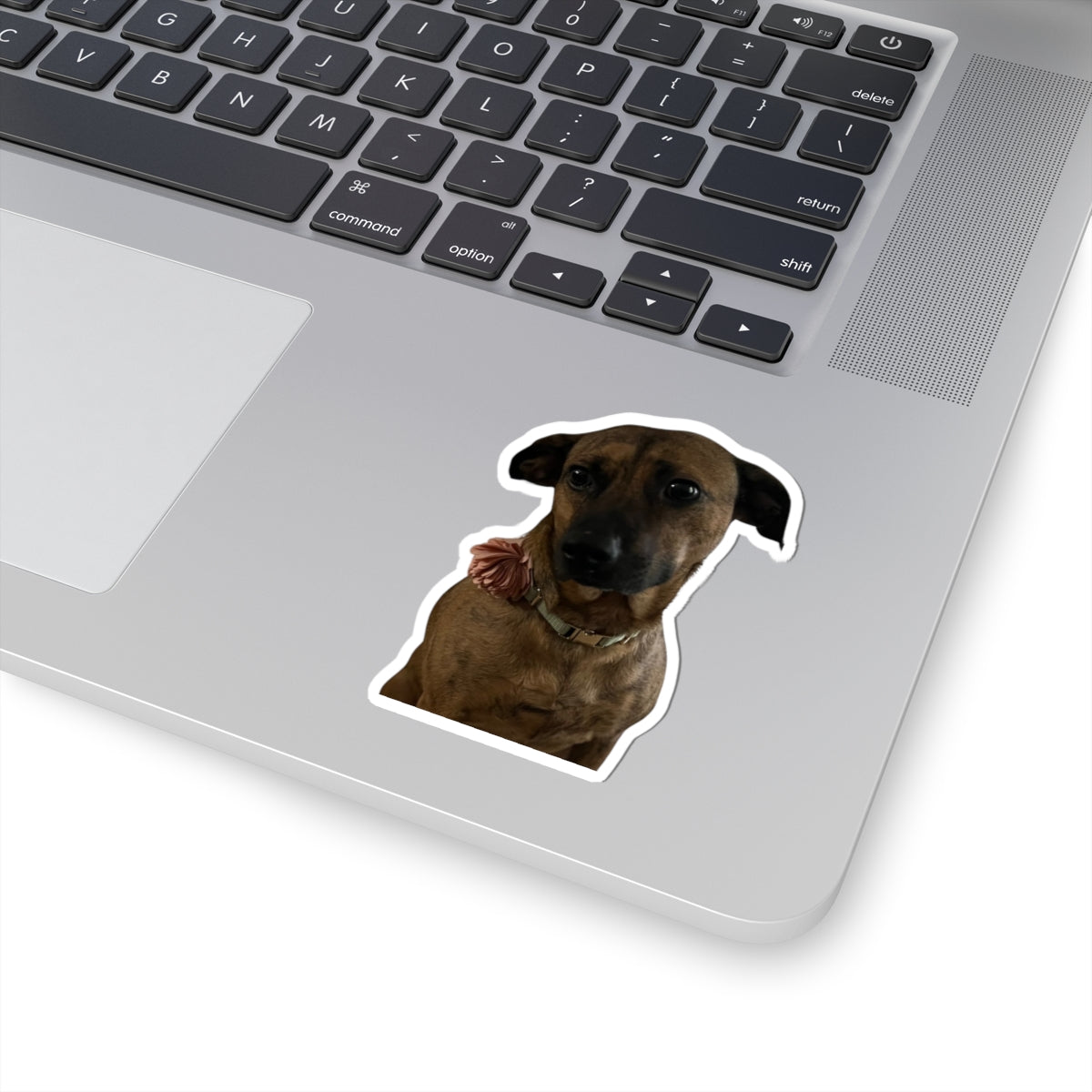 Maple Sticker — The Cute Brown Dog Kiss-Cut Decal for Laptops & Water Bottles
